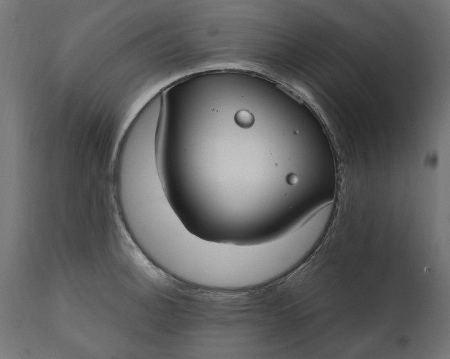 X0000111531140200907281356