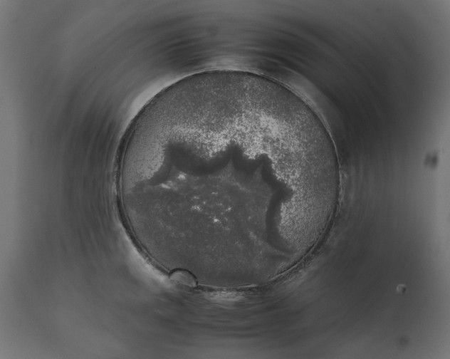 X0000111531141200907281356