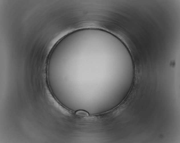 X0000111531142200907281356