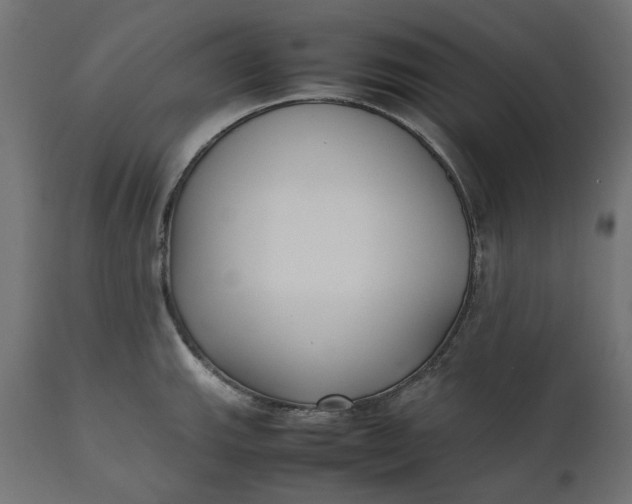 X0000111531143200907281356