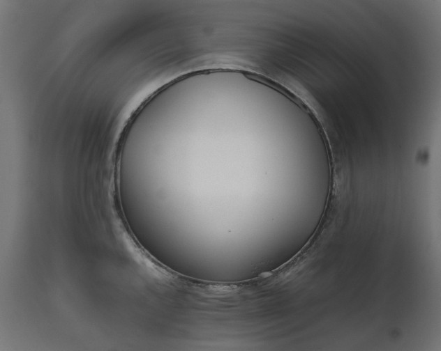 X0000111531144200907281356