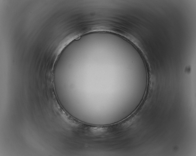 X0000111531145200907281356