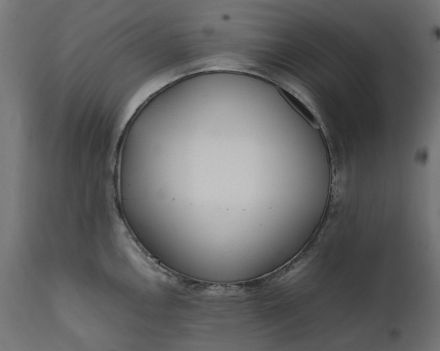 X0000111531146200907281357