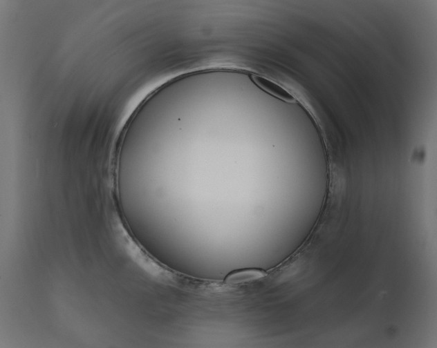 X0000111531148200907281357