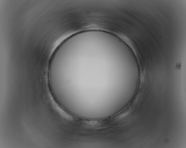 X0000111531149200907281357