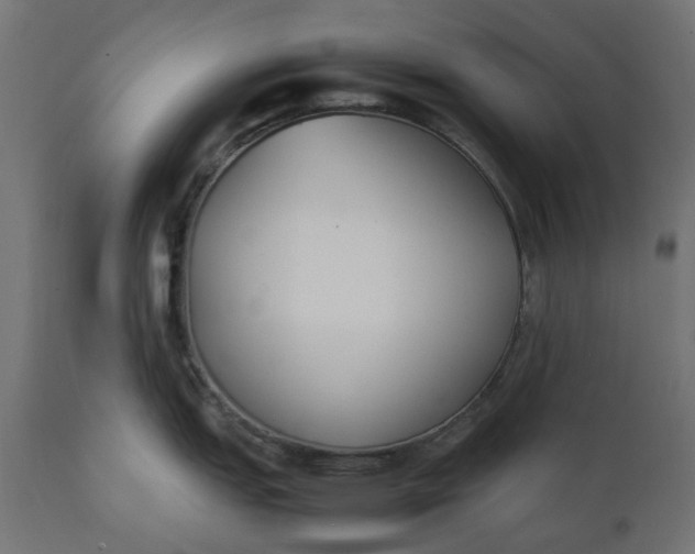 X0000111531151200907281357