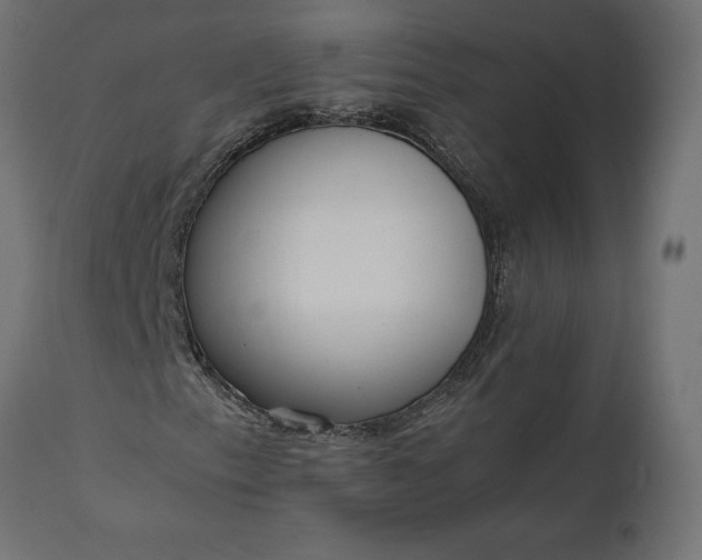 X0000111531153200907281356