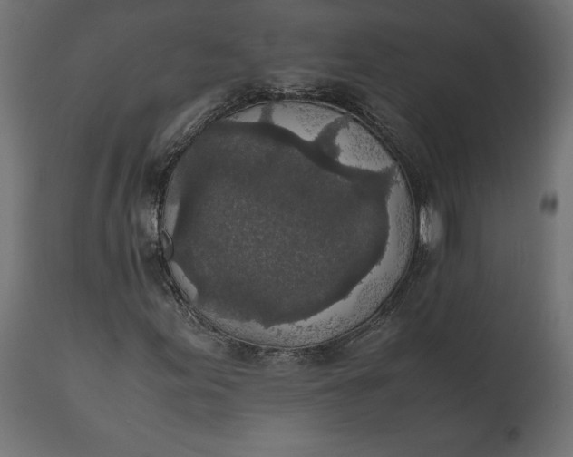 X0000111531155200907281356