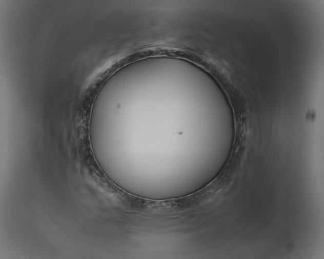 X0000111531159200907281356