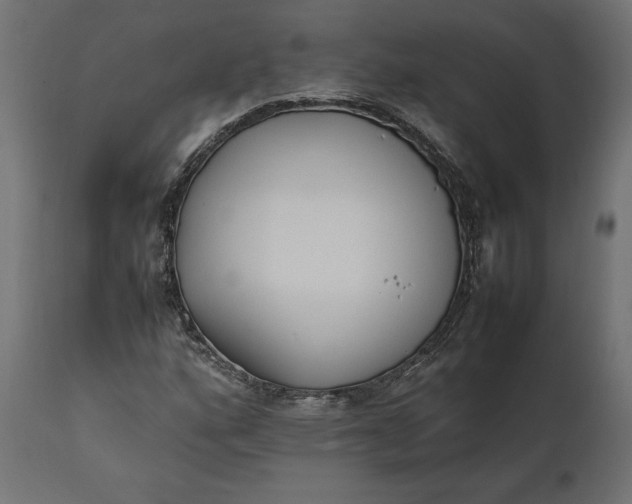 X0000111531160200907281356