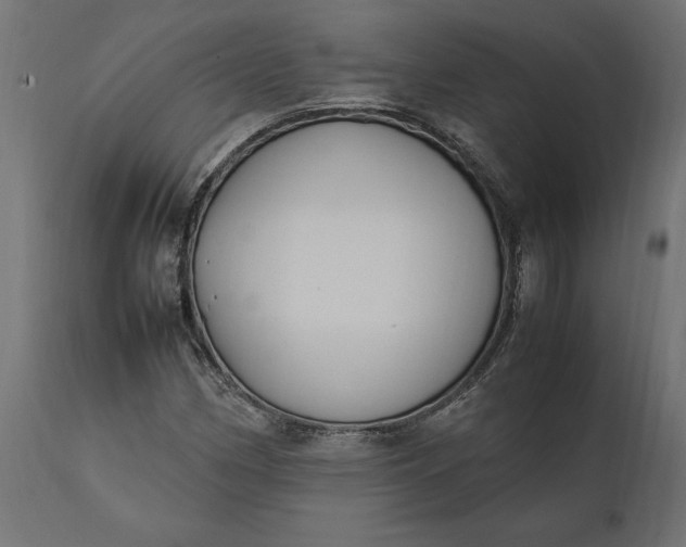 X0000111531162200907281356