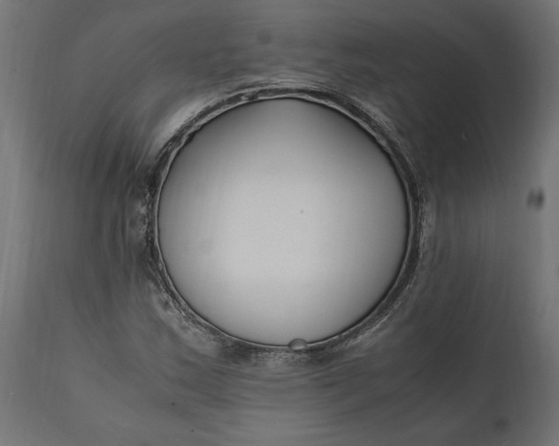 X0000111531163200907281356