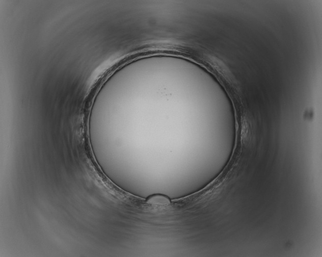 X0000111531164200907281356