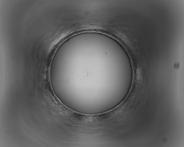 X0000111531165200907281356