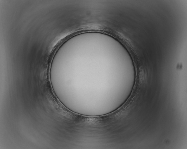 X0000111531166200907281356