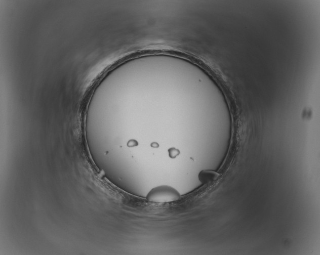 X0000111531167200907281356