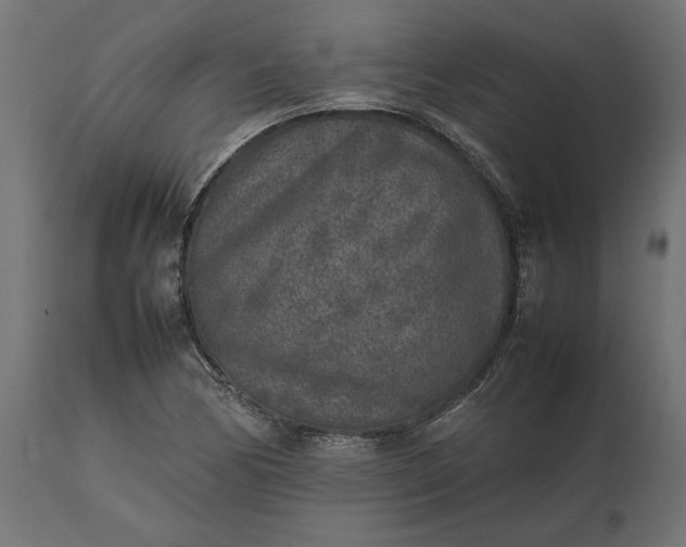 X0000111531170200907281356