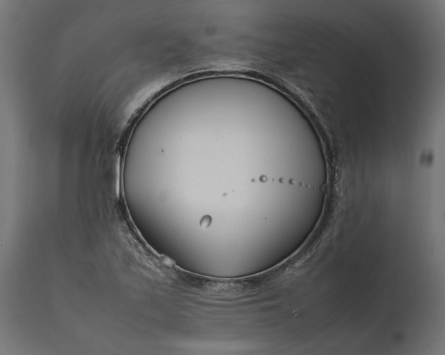 X0000111531171200907281356