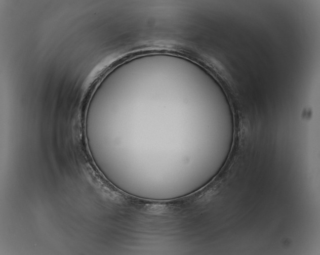 X0000111531172200907281356