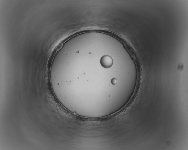 X0000111531173200907281355