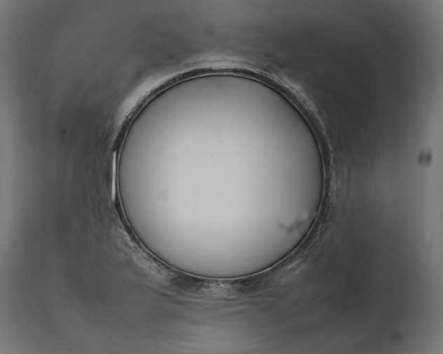 X0000111531175200907281355