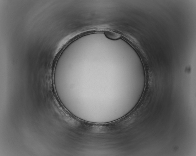 X0000111531176200907281355