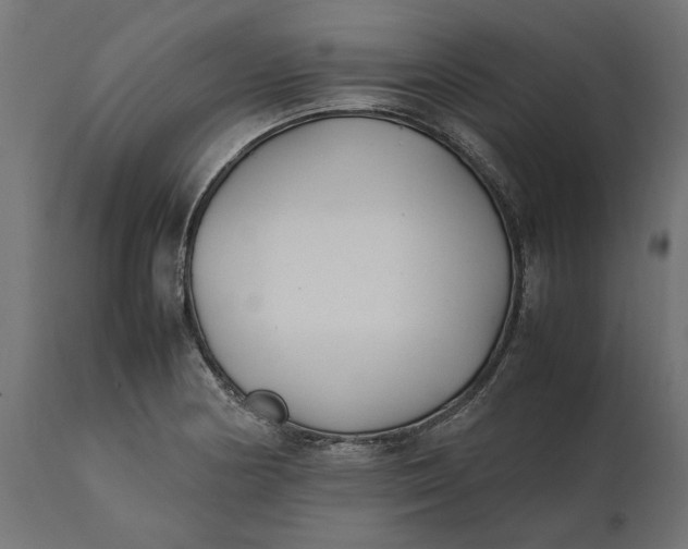 X0000111531178200907281355