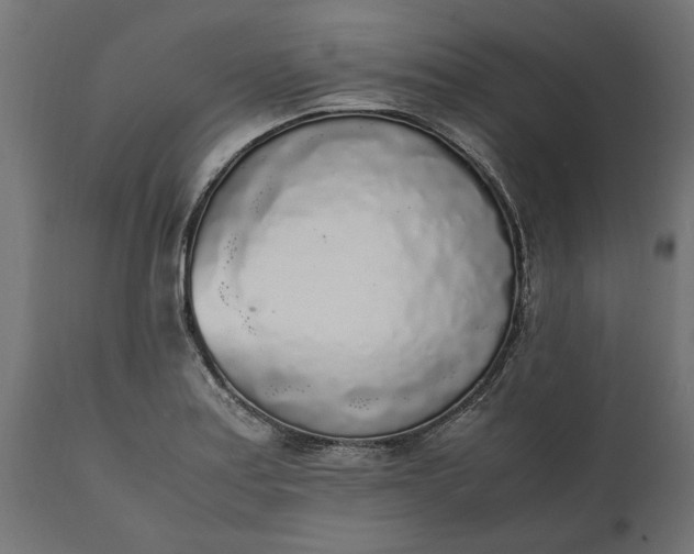 X0000111531179200907281355