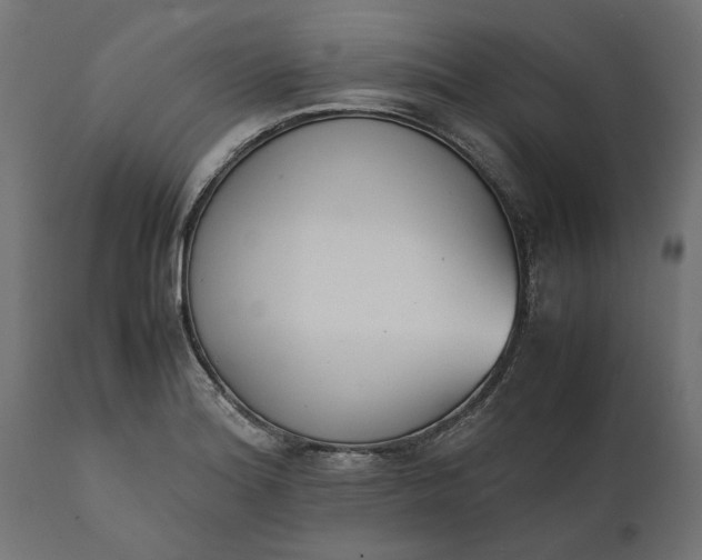 X0000111531180200907281355