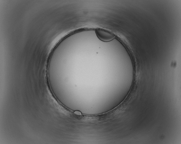 X0000111531183200907281355