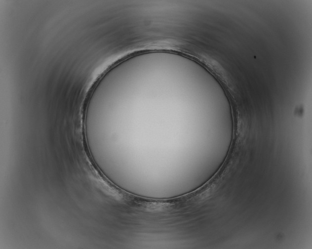 X0000111531184200907281355