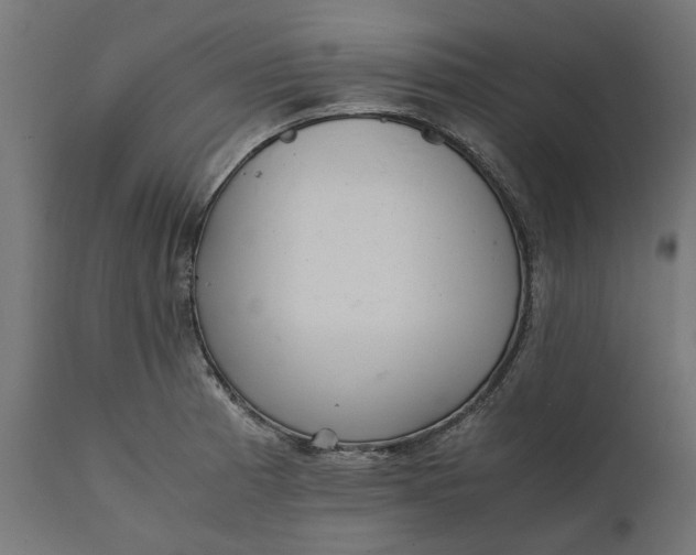 X0000111531185200907281355