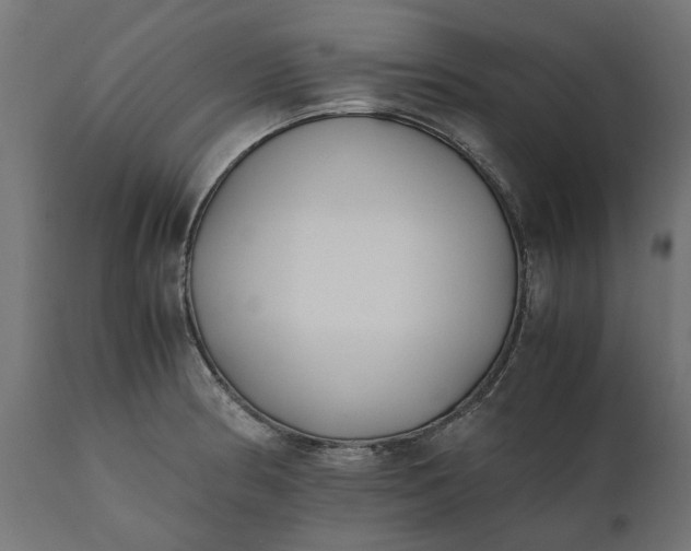 X0000111531186200907281355