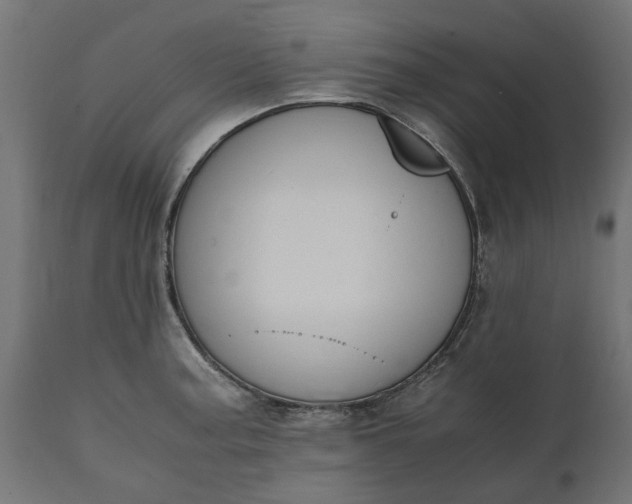 X0000111531187200907281355