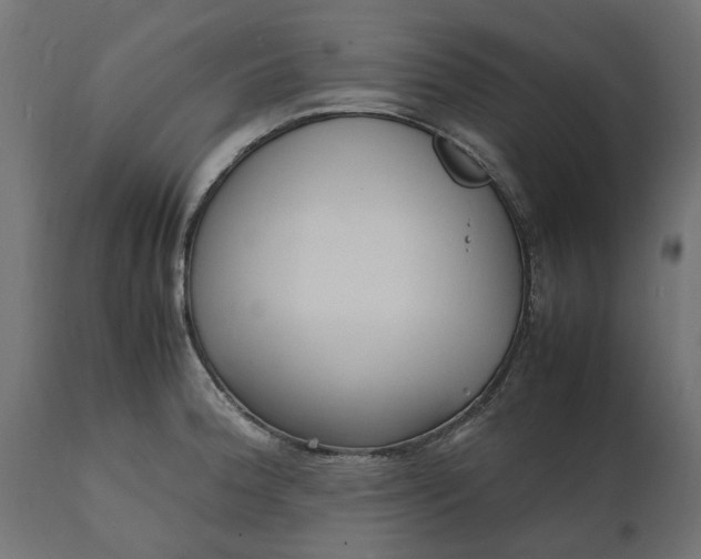 X0000111531188200907281355