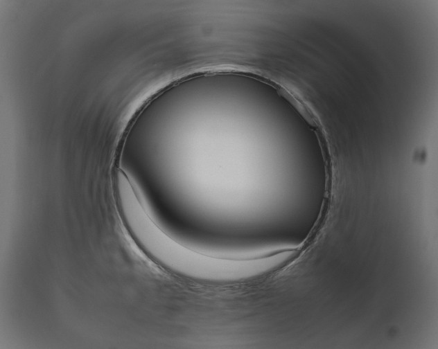 X0000111531189200907281355