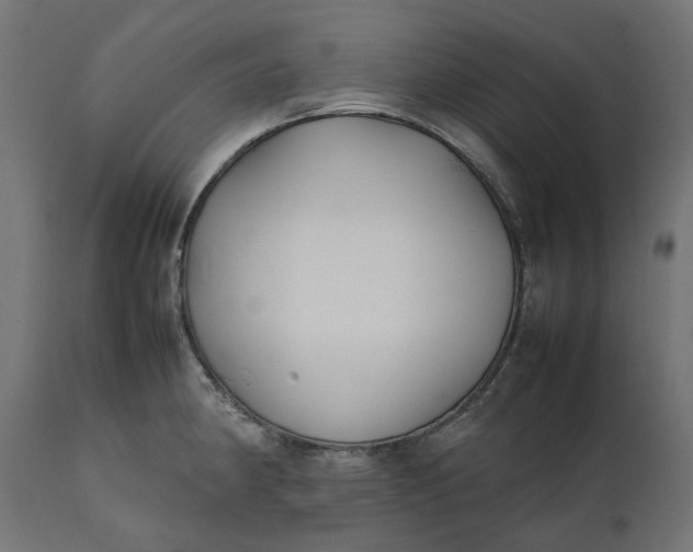 X0000111531190200907281355