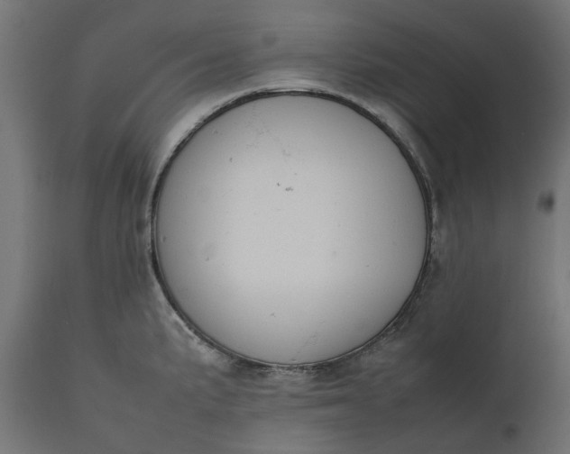 X0000111531191200907281355