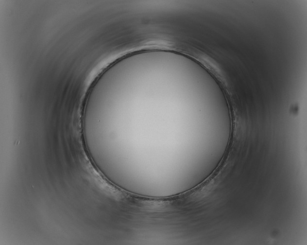 X0000111531192200907281355