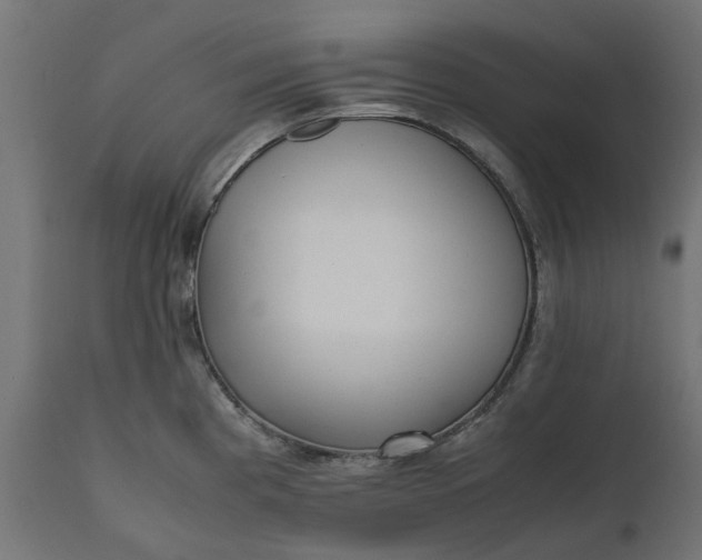 X0000111531193200907281355