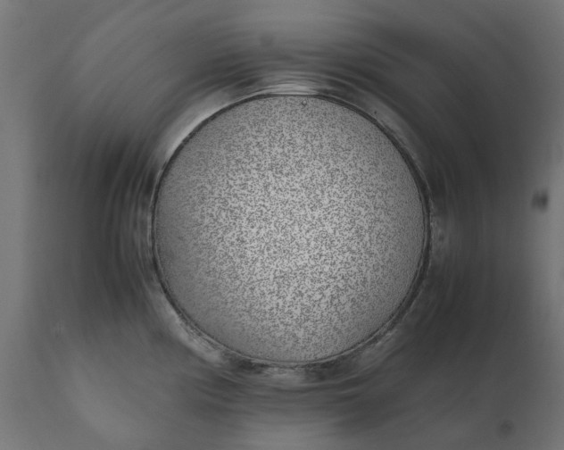 X0000111531194200907281355