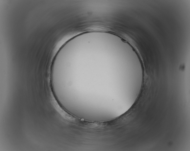 X0000111531195200907281355