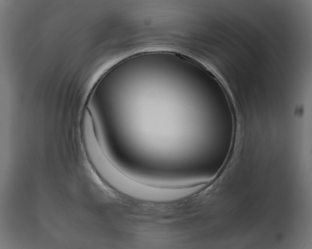 X0000111531197200907281355