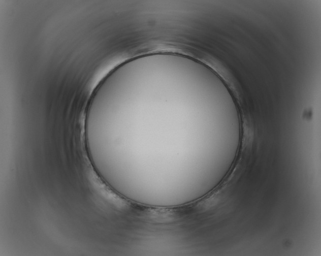 X0000111531198200907281355