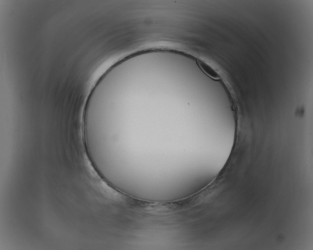 X0000111531199200907281355