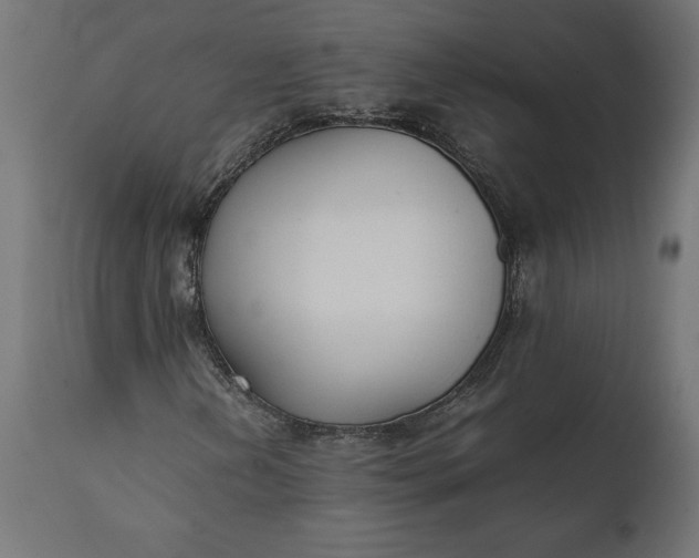 X0000111531202200907281354