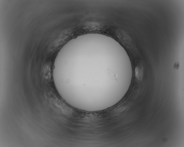 X0000111531203200907281354