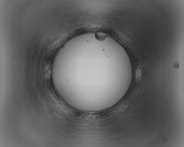 X0000111531204200907281354