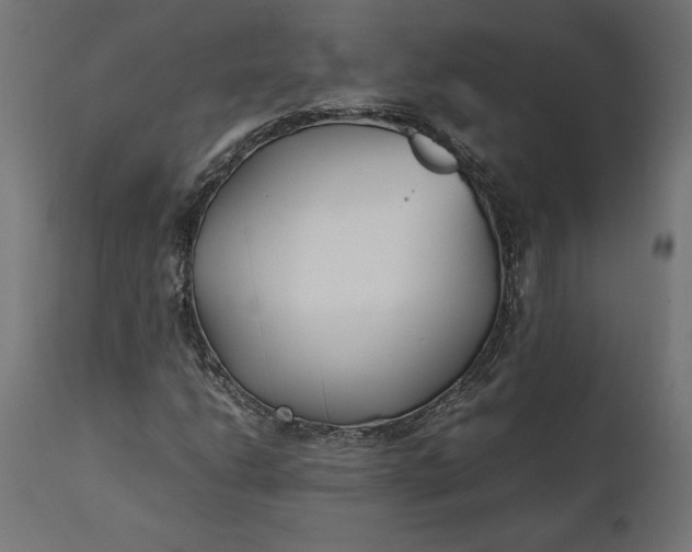 X0000111531206200907281354