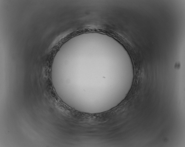 X0000111531207200907281354